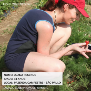 Texto do seu parágrafo (12)