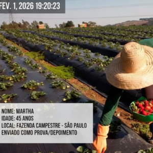 Texto do seu parágrafo (15)